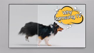 Why Samsung TV Compare and See the Answer [upl. by Netsruk]