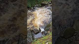 Die Radau durch Bad Harzburg Harz nationalparkharz badharzburg [upl. by Ihsorih890]