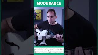 Moondance Bass Line  Van Morrison Classic [upl. by Didi]