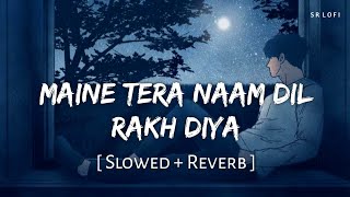 Maine Tera Naam Dil Rakh Diya Slowed  Reverb  Raghav Chaitanya  Ek Villain Returns  SR Lofi [upl. by Iramohs98]