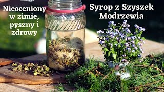 Syrop z Szyszek Modrzewiazdrowie [upl. by Dempstor642]