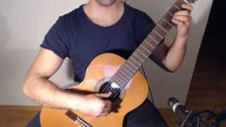 A Winters Tale  The Elder Scrolls V Skyrim on Guitar [upl. by Anthia]