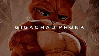 G3ox  GigaChad Phonk Slowed Reverb [upl. by Jakoba]