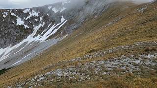 Puchberg am Schneeberg Schneeberg Chamois [upl. by Rundgren]