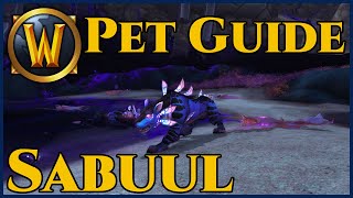 Sabuul  Hunter Pet Guide 9 [upl. by Yi]