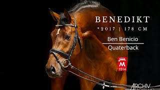 BENEDIKT 2017 v Ben Benicio  DSPEH Quaterback [upl. by Yerxa649]