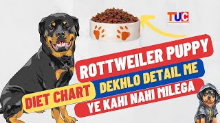 Diet Plan For Rottweiler Puppy  Veg and Nonveg Diet For Rottweiler  TUC [upl. by Earized843]