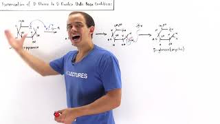 Isomerization of DGlucose into DFructose [upl. by Uttasta]