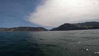 Entrando al puerto de Pasaia en barco [upl. by Locin]