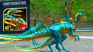 NEW LEGENDARY COMPSOGNATHUS MAX X3 LEVEL 40  JURASSIC WORLD THE GAME [upl. by Sollars727]