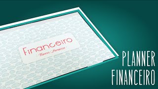 Planner Financeiro  Por Tanara Hormain [upl. by Ambert]