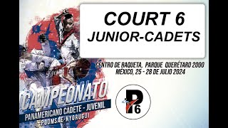 Court 6  Campeonato Panamericano Cadete y Junior PRELIMINARES [upl. by Notnarb]