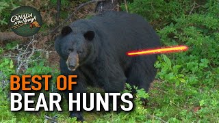 50 Bear Hunts in 15 Minutes ULTIMATE Bear Hunting Compilation  BEST OF [upl. by Ion678]