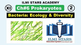 Ecology and Diversity of Bacteria Class 11 Biology Chapter 6 Prokaryotes [upl. by Kcireddor]