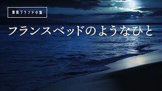 【睡眠朗読】夢の世界に浸れる短編小説「フランスベッドのようなひと フランスベッドが叶える夢」 [upl. by Poock217]