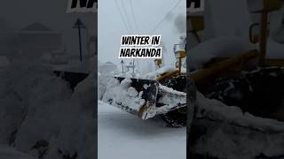 Narkanda Winter  First Snowfall in Narkanda  Narkanda Snowfall  Narkanda Himachal [upl. by Akina]