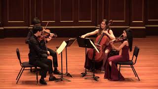 Haydn String Quartet in FMinor op 20 No 5  Tempest String Quartet [upl. by Mahau]