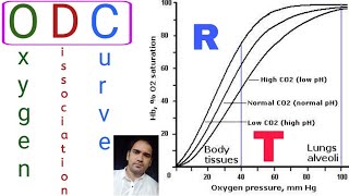 Oxygen Dissociation Curve [upl. by Einned]