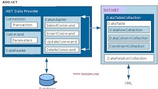 Using DataAdapter Insert Command SqlServer [upl. by Adnuhs998]