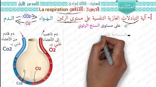 Les échanges gazeux et transport du dioxygène [upl. by Roxane]