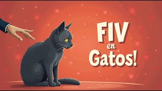 ≫ ¿Tu gato tiene virus de inmunodeficiencia felina FIV [upl. by Jarrid427]