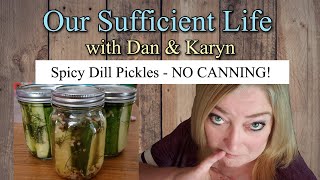 Refrigerator Dill Pickles Recipe  NO CANNING  Ready in 10 days [upl. by Sallyann]