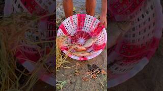 Fishing video fishing shorts short video [upl. by Waldner]