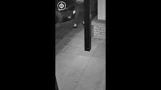 Thief Caught On CCTV Peforming Another Relay Attack [upl. by Aser814]