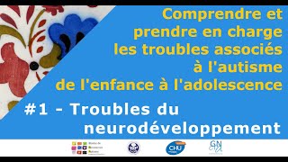 Autisme et troubles associés  Pr René PRY  Les troubles du neurodéveloppement  5 janvier 2021 [upl. by Dallon]