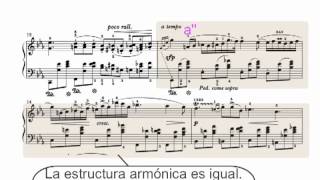 Nocturno Chopin Op9 no 2m4v [upl. by Koralle]