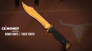 CSGO  Bowie Knife  Tiger Tooth [upl. by Liagiba]