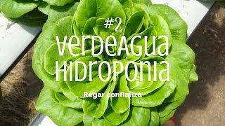 Regar Confianza  VerdeAgua Hidroponia 24  HWT 03 [upl. by Dnalyk199]