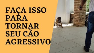 APRENDA A TREINAR SEU CÃO PARA ATACAR [upl. by Fowkes]