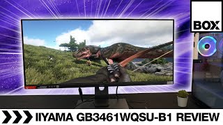 iiyama GMaster GB3461WQSUB1 Red Eagle 144Hz 34quot Gaming Monitor Review [upl. by Anselma]