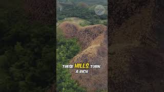 Chocolate Hills Philippines – Un doux mystère explore travel shorts [upl. by Nireves]