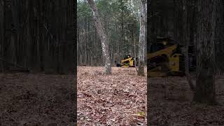 CAT 285 Forestry Mulcher Demo forestrymulching caterpillar heavyequipment asmr [upl. by Melvin]