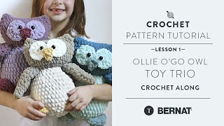 Crochet Along Lesson 1  Ollie the OGo Owl Toy Trio [upl. by Tony774]