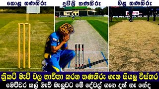 Different Types Of Cricket Pitches  Pitch Reading  Bat First or bowl First  SINHALA [upl. by Trisa]