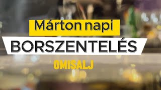 Márton napi borszentelés Krk szigeten [upl. by Vtehsta685]