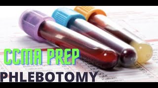 CCMA Prep Phlebotomy Let’s get you prepped Part 1 of phlebotomy [upl. by Ragde]