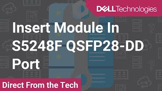 Insert Module In S5248F QSFP28DD Port [upl. by Rachele]