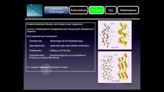 Basiskurs BiochemieChemie Proteine Teil 810 [upl. by Zelde]