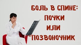 Боль в спине почки или позвоночник Отличия Доктор Лисенкова [upl. by Delila]