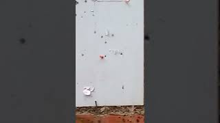 Push pins shot at 100 yards [upl. by Enetsuj]