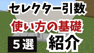 【マイクラコマンド講座】セレクター引数の基礎を日本一わかりやすく解説！ [upl. by Boyes]