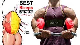 How To Build Your biceps workout Fast 6 Effective Exercises [upl. by Meerak498]