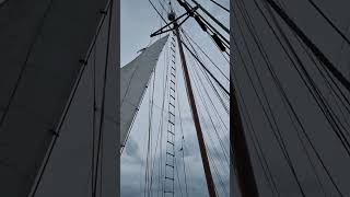 January 2024 Hoisting the main staysail during AY2324 SOC CCSGP x STEER Sailing the Java Sea [upl. by Eybbob]