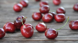 Cherries Galore How Cherries Grow in California with Missy and Tom Gotelli Cherry Farmers [upl. by Leuqram499]