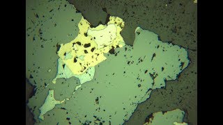 Sphalerite  ore microscope  Geology [upl. by Ynavoeg]