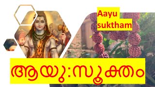 ആയു സൂക്തം Ayu suktam malayalam lyrics [upl. by Asirrom]